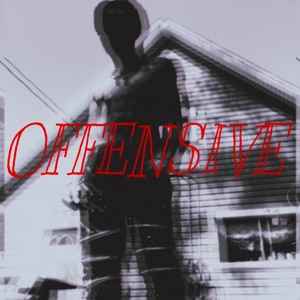 Shvnobi - OFFENSIVE MIXTAPE