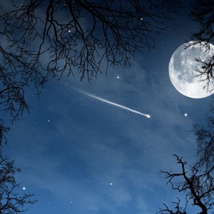 Midnight(Ft.Bianca_&Kay star_,Katzen v)