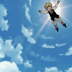 CAN’T LAND