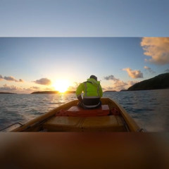 Sunflower Feeling - 🔥🤘🏾