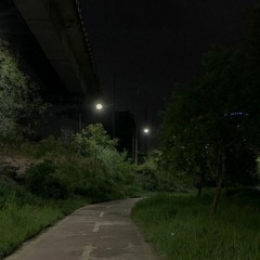 Dark Outside [reidmd]