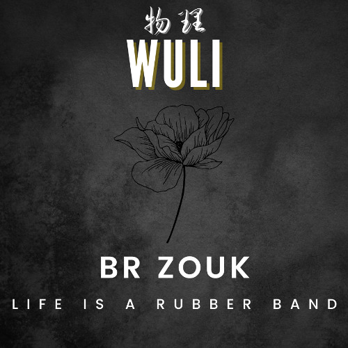 DJ Wuli - Life is a Rubber Band