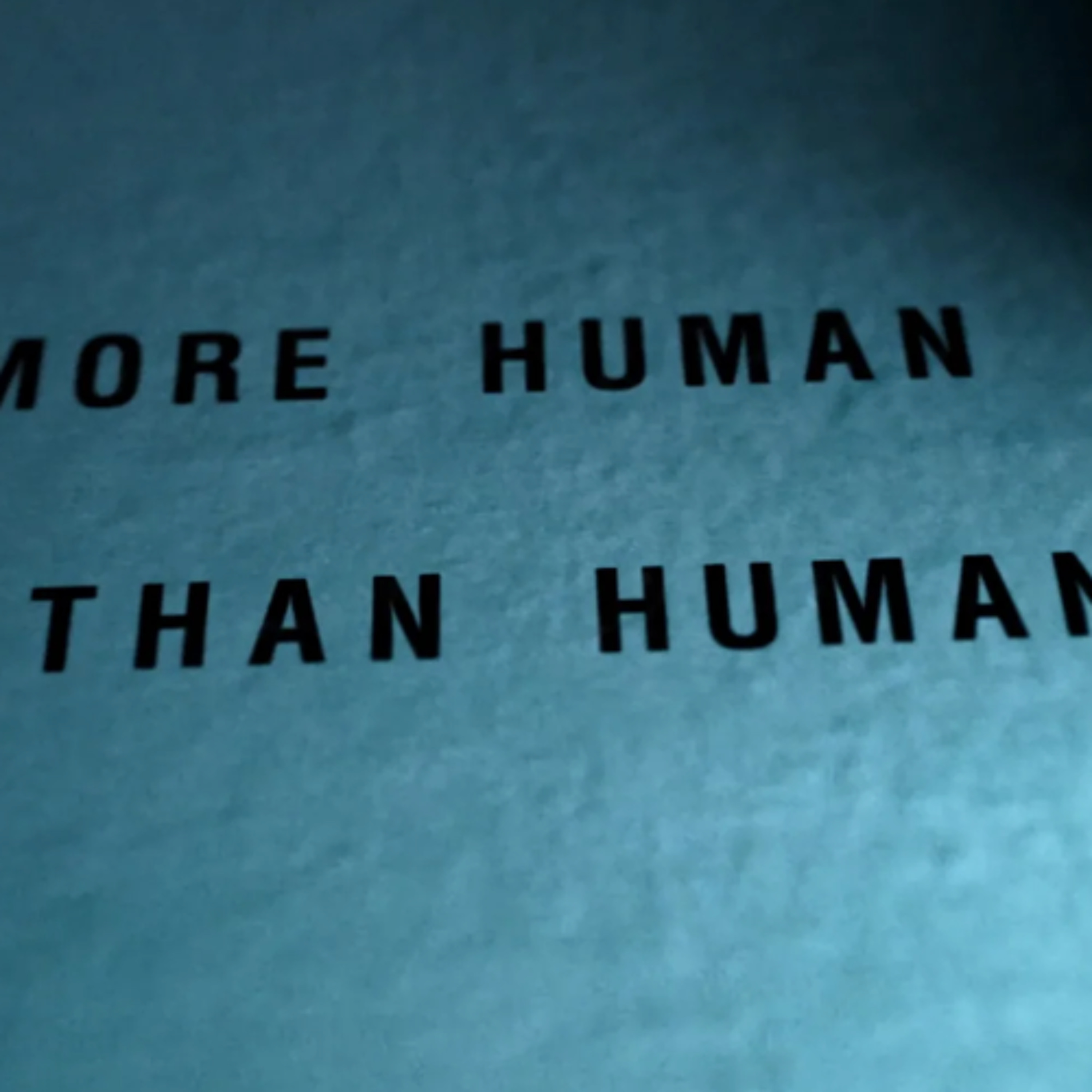 awanderingsky / skyrockstudio