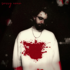 sorry xoxo - thestarsandthechristians [prod.@sorryxoxosos]