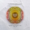 WTHI152 - Florian Gasperini - Bittersweet Glow