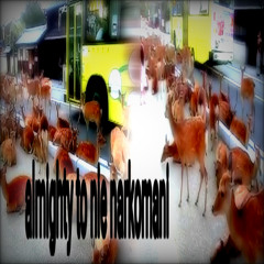 di dik * * * almighty to nie narkomani