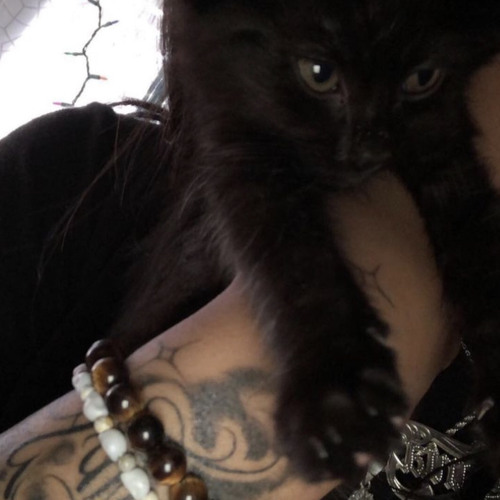 Bktherula & Destroy lonely - She ain’t mine (snippet)