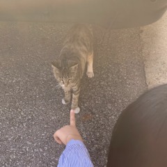 재채기소격동 2020