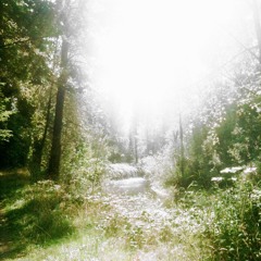 rebirth
