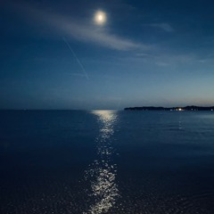 ToTheMoon&Back: Denny'sInterplanetaryJourneyThroughTheShootingStars rec.@TheMarketStudio&SoundLab