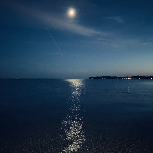ToTheMoon&Back: Denny'sInterplanetaryJourneyThroughTheShootingStars rec.@TheMarketStudio&SoundLab
