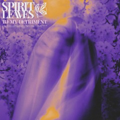 Spirit Leaves - Chaos Control