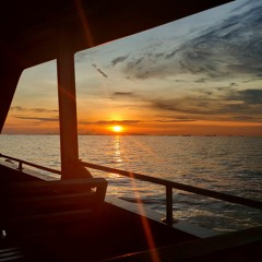 Laufey - Let You Break My Heart Again (Cover)