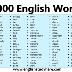3000 English Phrasal Verbs