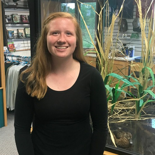 Stream episode Karley Eld by Minnesota Humanities Center podcast