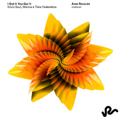 Silvio Soul, Meriva, Time federation - I Got It U Got It