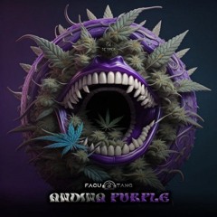 ANDINA PURPLE
