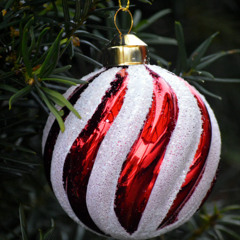 Hark the herald angels sing (practice)