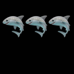 Shark A Bitch