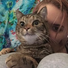 primoxan - like ow i walk