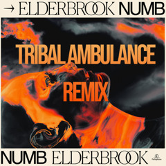 Elderbrook - Numb (Tribal Ambulance Remix)