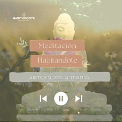 meditación sembrando armonía en tu vida