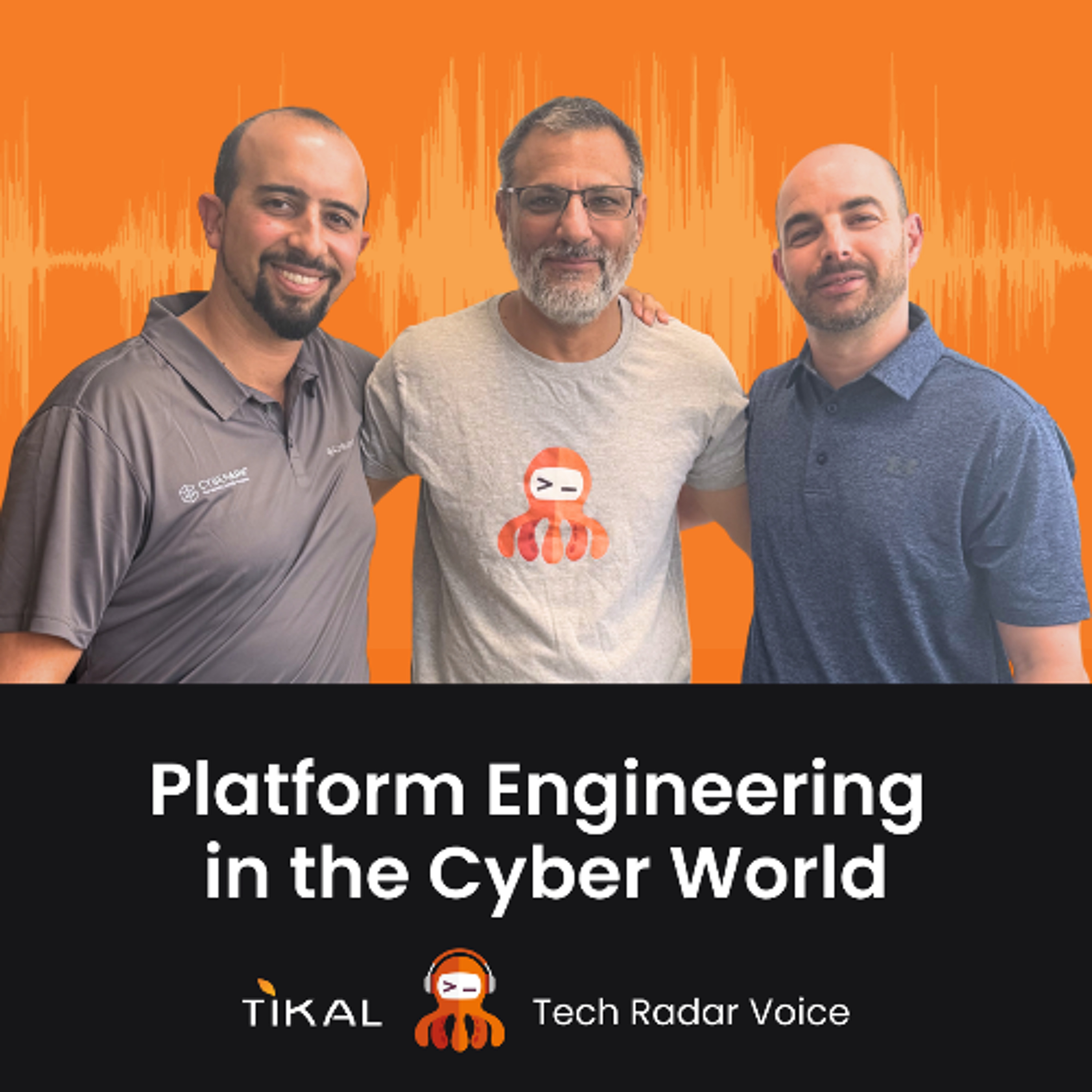 Platform Engineering in the Cyber World