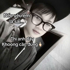 NST-TOI CHO CO GAI DO 1H - DJ SHIN REMIX