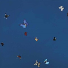 온맘다해 사랑하지않았어