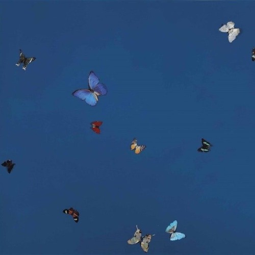 온맘다해 사랑하지않았어