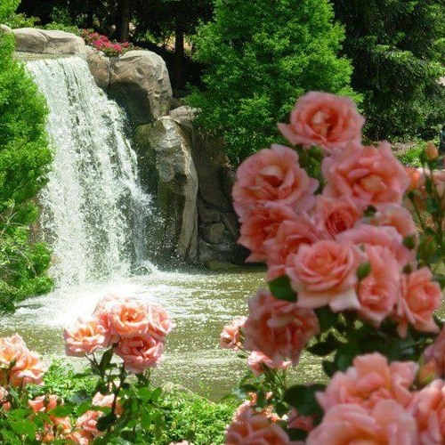 Stream Rose Waterfall by G² Productions | Listen online for free on  SoundCloud