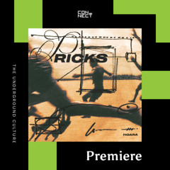 PREMIERE: Hoara  - Pricks [Dans La Zone]