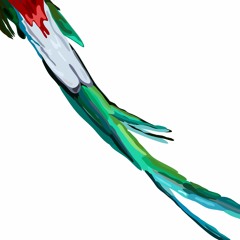 the fledging quetzal