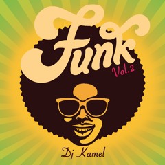 Funk Vol. 2