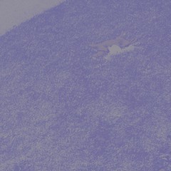 dont need a reason - 4:5:20, 4.06 PM