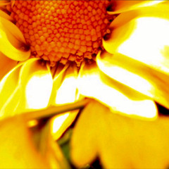 “Call you Baby” (demo version for film use only)