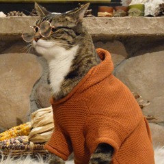 TNT (Thursday Night Tunes) 2023 - 03 - 23, Naked Ape