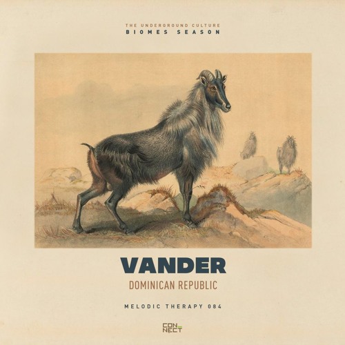 Vander @ Melodic Therapy #084 - Dominican Republic