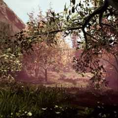 Solarmodern: Botanica & Petalcore [EFC-23]