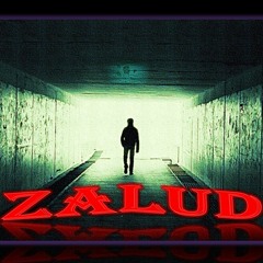 NP - ZALUD (Official Audio)