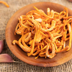 Cordyceps: Der Vital Pilz für Gesundheit und Vitalität