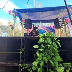Bush Tech @ Metamorphosis Out Of The Cacoon 03 - 10 - 2020 4pm - 5.30pm