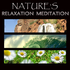 Gentle Forest Stream and Waterfall for Sound Therapy, Massage and Yoga (Birds Singing With Tibetan and Harmonic Singing Bowls)