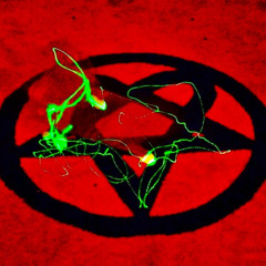 𝕻𝖑𝖆𝖞𝖇𝖔𝖎 𝕮𝖆𝖗𝖙𝖎 - 𝕳𝖎𝖒