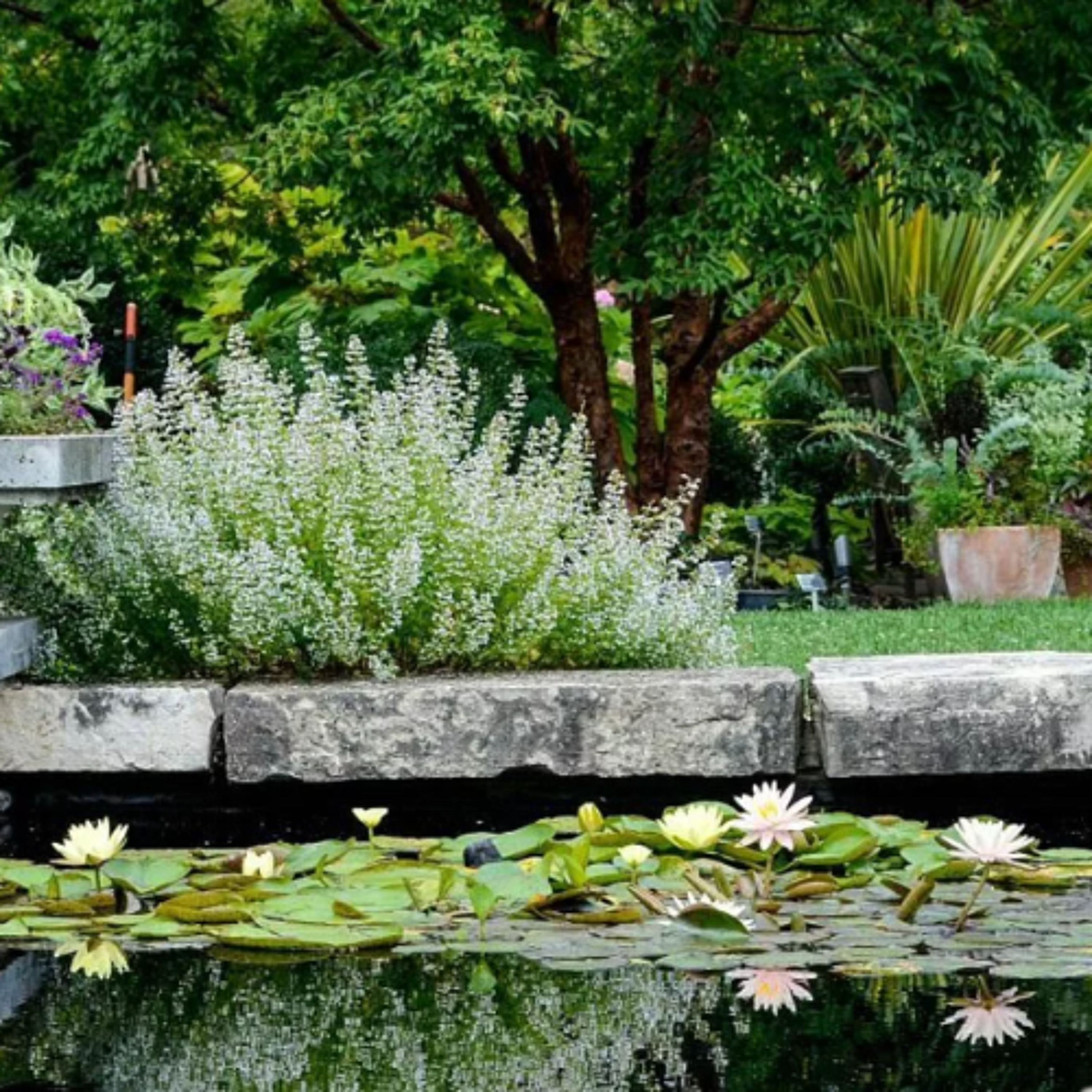 Spring at Olbrich 03202036