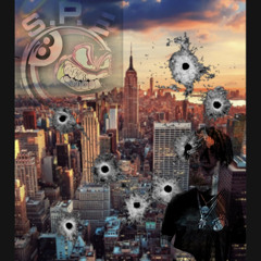 What Happened To Virgil freestyle