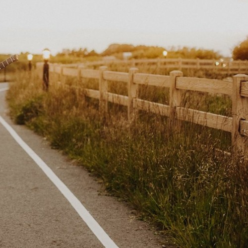 apathesia summer final (1)