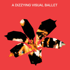 The Weightless Flight (Snap)