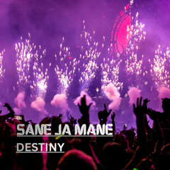 Destiny (Original Mix)