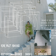 In the Fall (T. Speakman Remix)